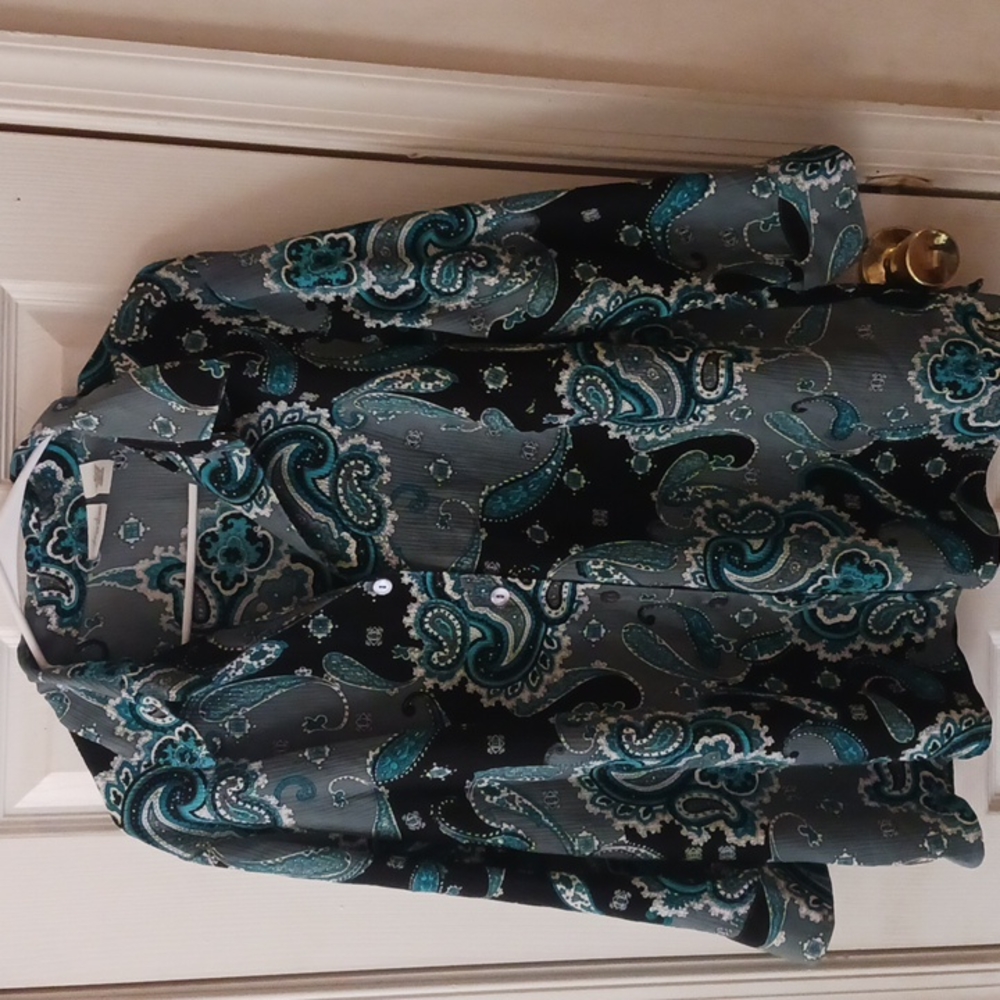 Kim Rodgers 2x blue blouse.